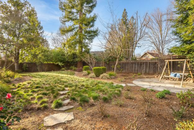 167 Belgian Drive Backyard