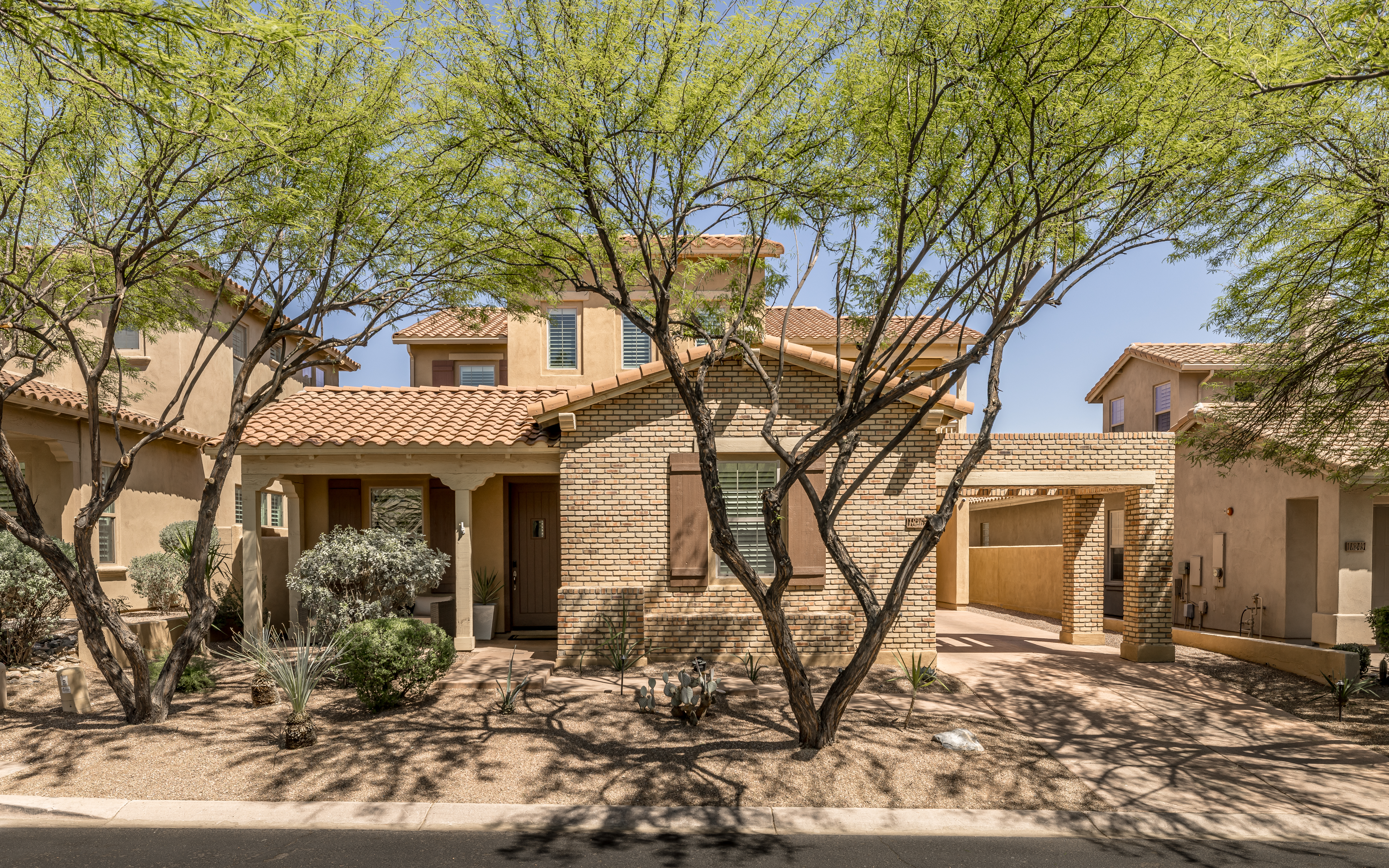Modern Desert Haven