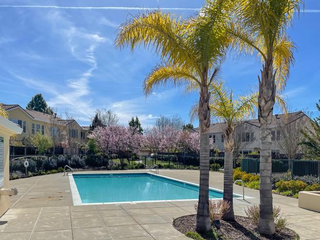 7633 Stellaria Lane - Pool