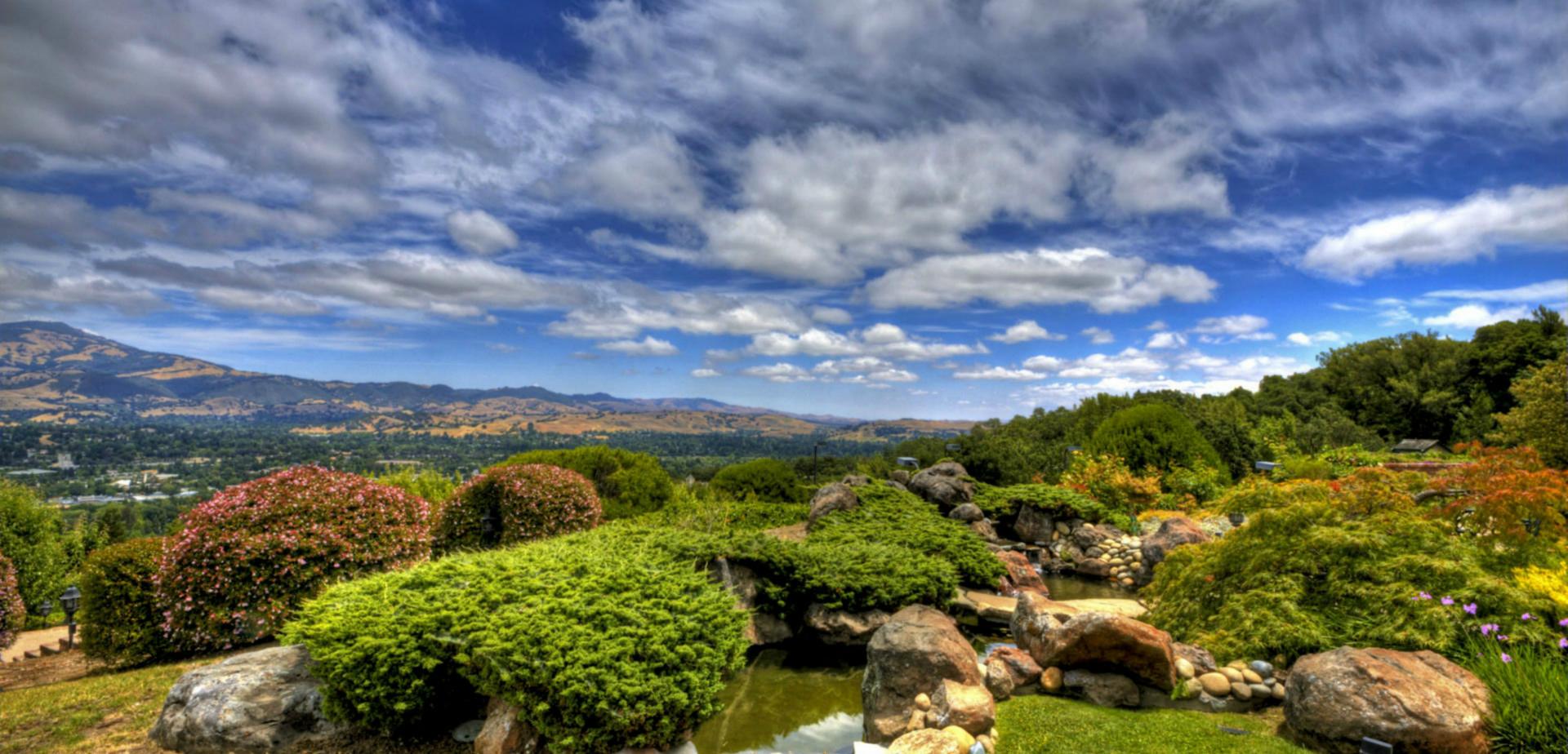 Best View of Mt. Diablo 